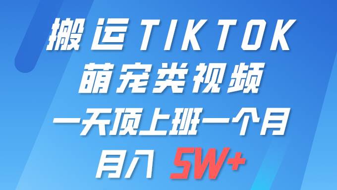 一键搬运TIKTOK萌宠类视频 一部手机即可操作 所有平台均可发布 轻松月入5W+-俗人博客网