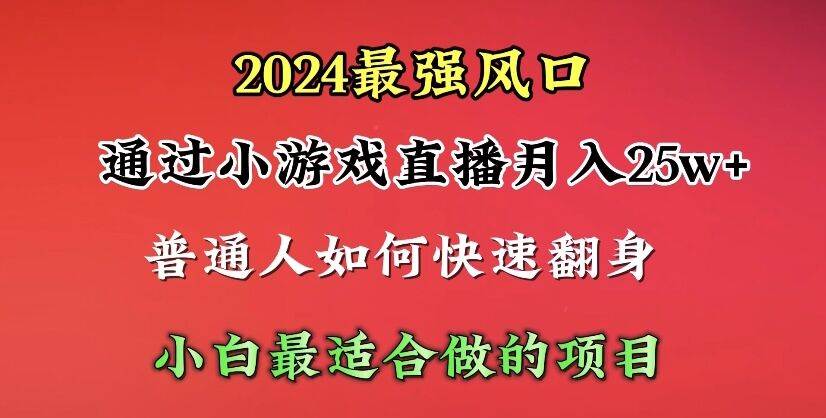 2024年最强风口，通过小游戏直播月入25w+单日收益5000+小白最适合做的项目-俗人博客网