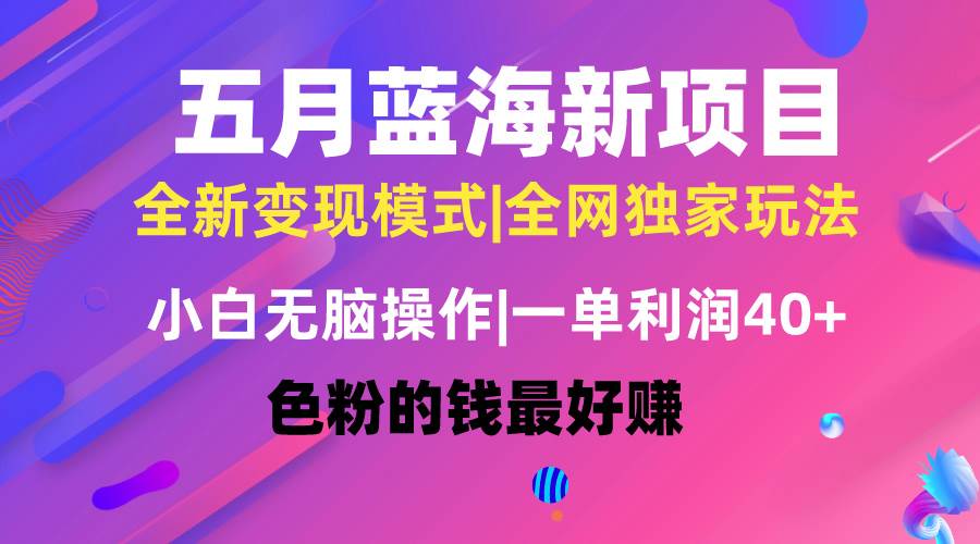 五月蓝海项目全新玩法，小白无脑操作，一天几分钟，矩阵操作，月入4万+-俗人博客网