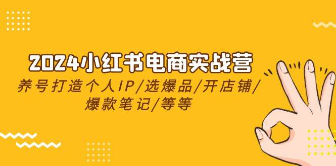 2024小红书电商实战营，养号打造IP/选爆品/开店铺/爆款笔记/等等（24节）-俗人博客网