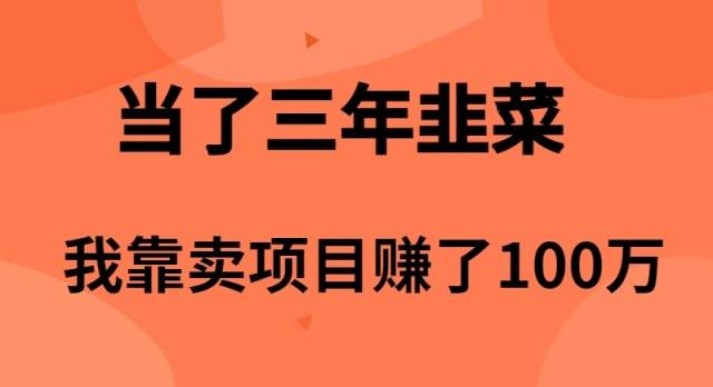 当了3年韭菜，我靠卖项目赚了100万-俗人博客网